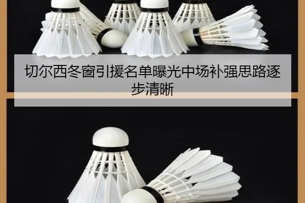 切尔西冬窗引援名单曝光中场补强思路逐步清晰